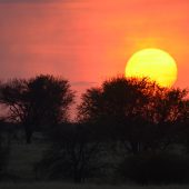  The Serengeti, TZ